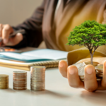 reviewing managed fund investment options