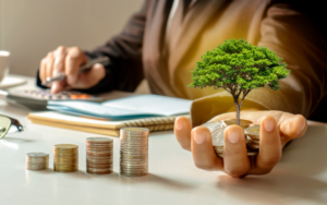 reviewing managed fund investment options