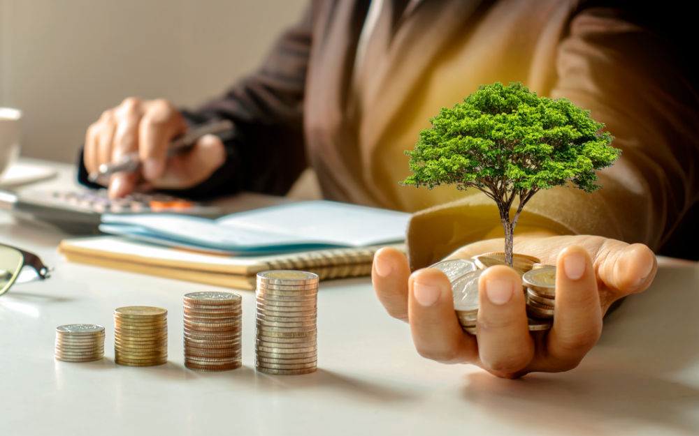 reviewing managed fund investment options